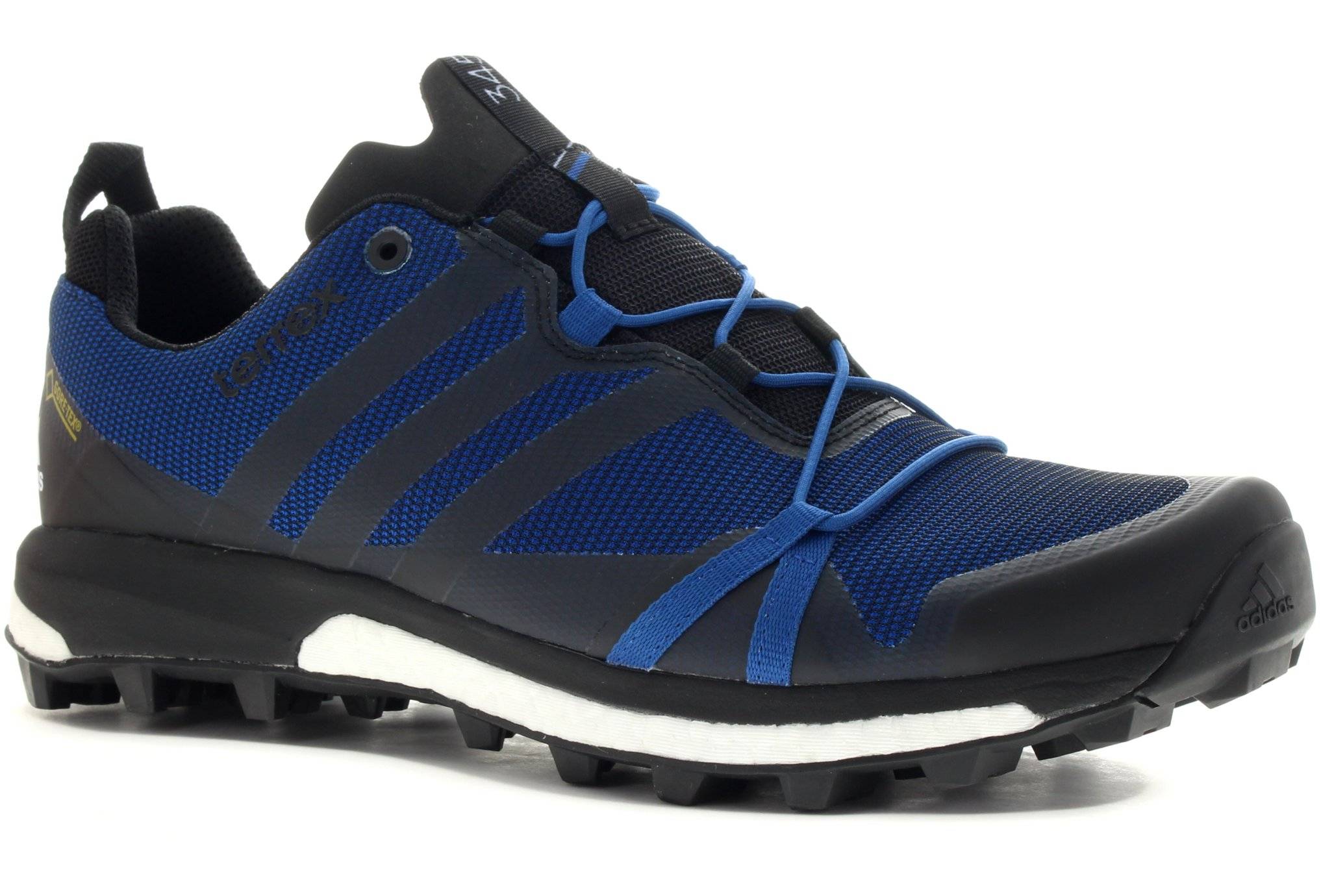 adidas Terrex Agravic Gore-Tex M homme pas cher AF6119