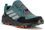 adidas Terrex AX4S SL