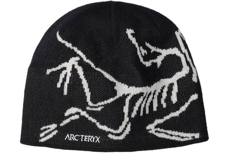 Arcteryx Bird Head 