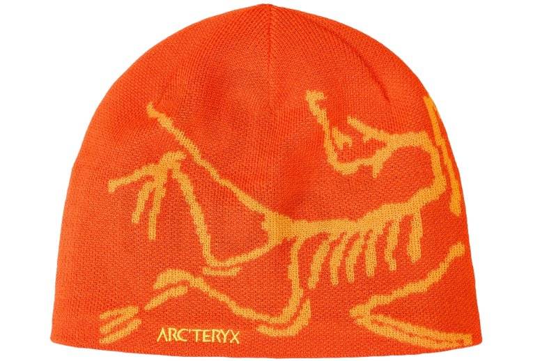 Arcteryx Bird Head 