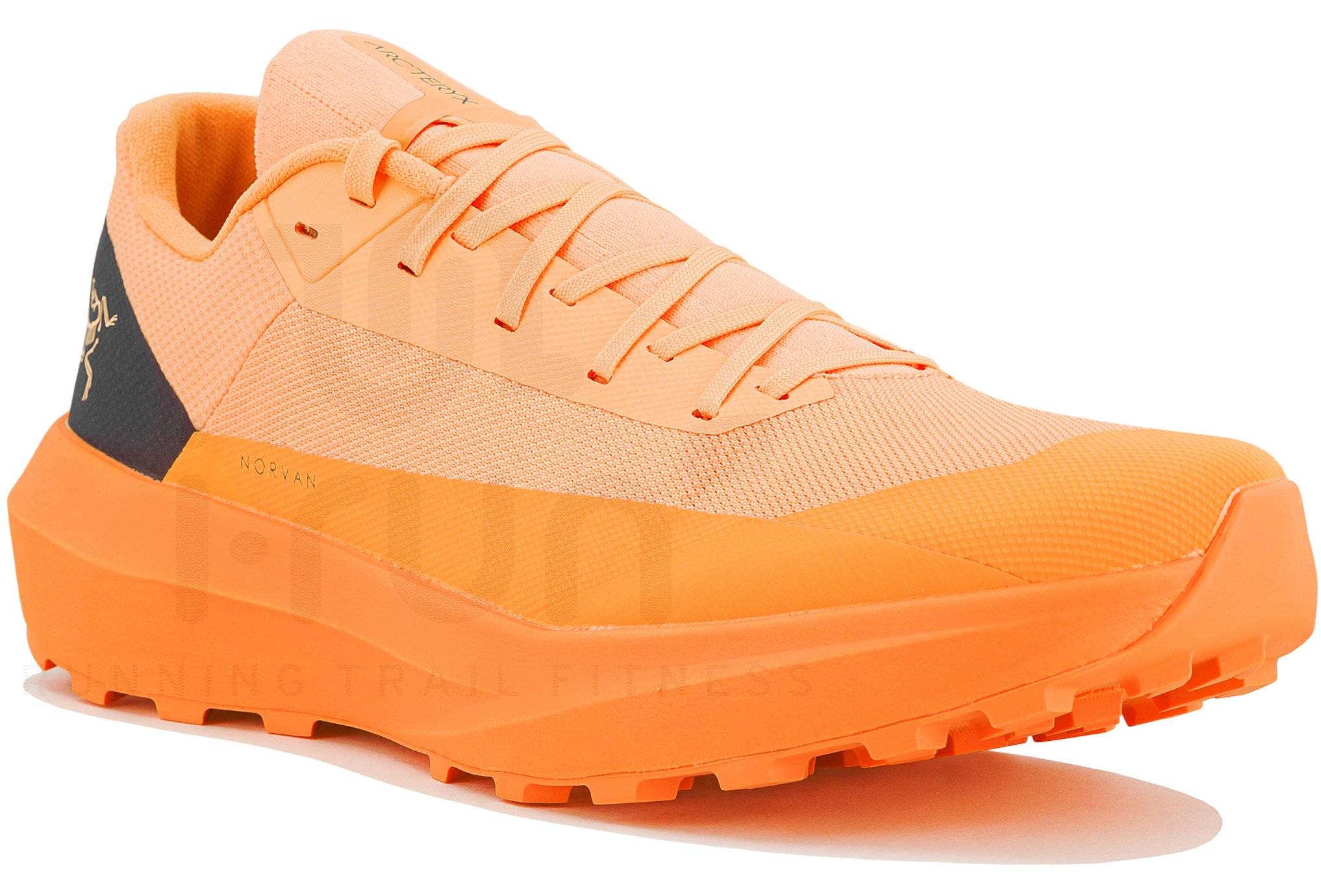 Arcteryx Norvan LD 4 