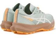 Asics Fuji Lite 6