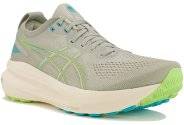 Asics Gel-Kayano 31