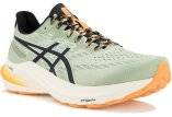 Asics GT-2000 12 TR M