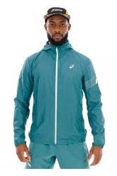 Asics Icon