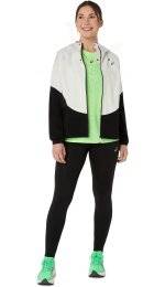 Asics Metarun Waterproof Legend