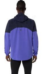 Asics Metarun Waterproof Legend