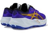 Asics Trabuco 14