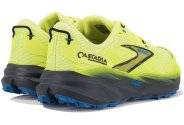 Brooks Cascadia 19