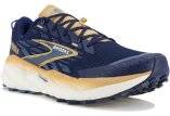 Brooks Cascadia 19