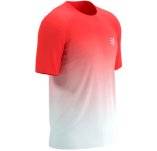 Compressport Performance