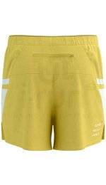 Compressport Performance