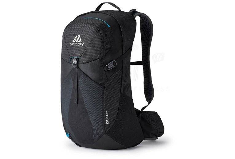 GREGORY Citro 24 