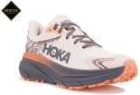 Hoka One One Challenger 7 Gore-Tex