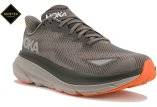 Hoka One One Clifton 9 Gore-Tex