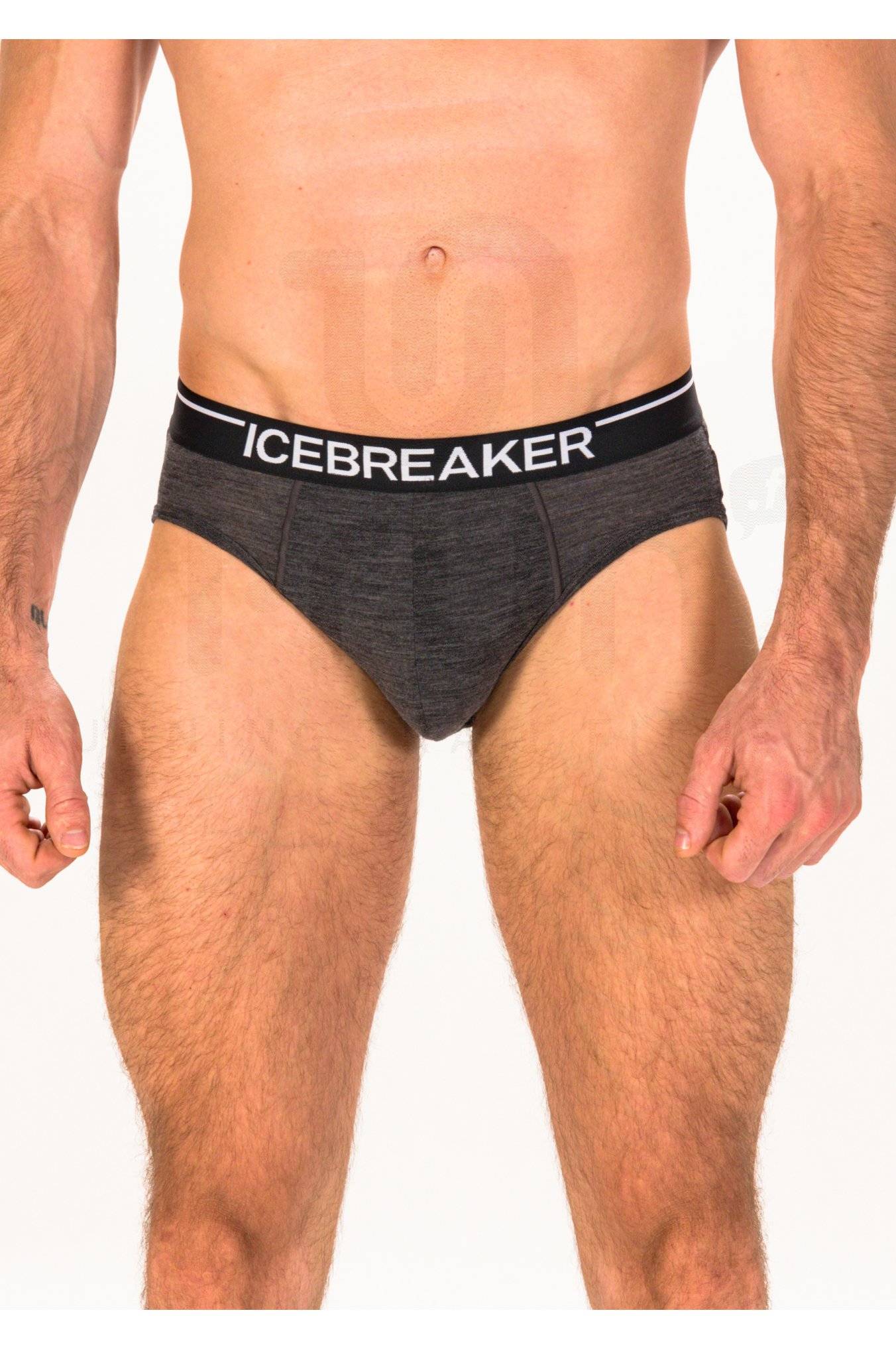 Icebreaker Anatomica Briefs Mrinos M 