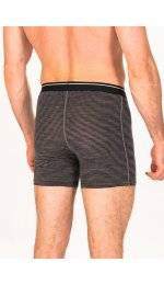 Icebreaker Anatomica Mrinos M