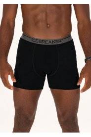 Icebreaker Anatomica Mrinos M