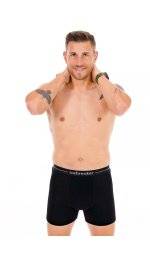 Icebreaker Boxer Anatomica Mrinos M