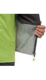 Millet Parmelan Hybrid