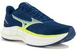 Mizuno Wave Inspire 22