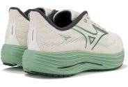 Mizuno Wave Rider 29