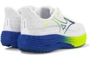Mizuno Wave Rider 29