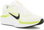 Nike Air Winflo 11