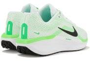 Nike Air Winflo 11