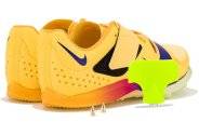 Nike Air Zoom LJ Elite