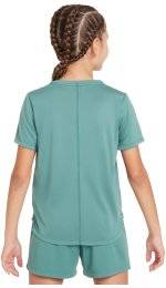 Nike Dri-Fit One