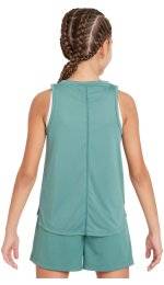 Nike Dri-Fit One