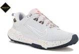 Nike Juniper Trail 2 Gore-Tex