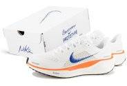 Nike Pegasus 41