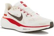 Nike Pegasus 41