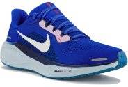 Nike Pegasus 41