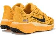 Nike Pegasus 41 LV8