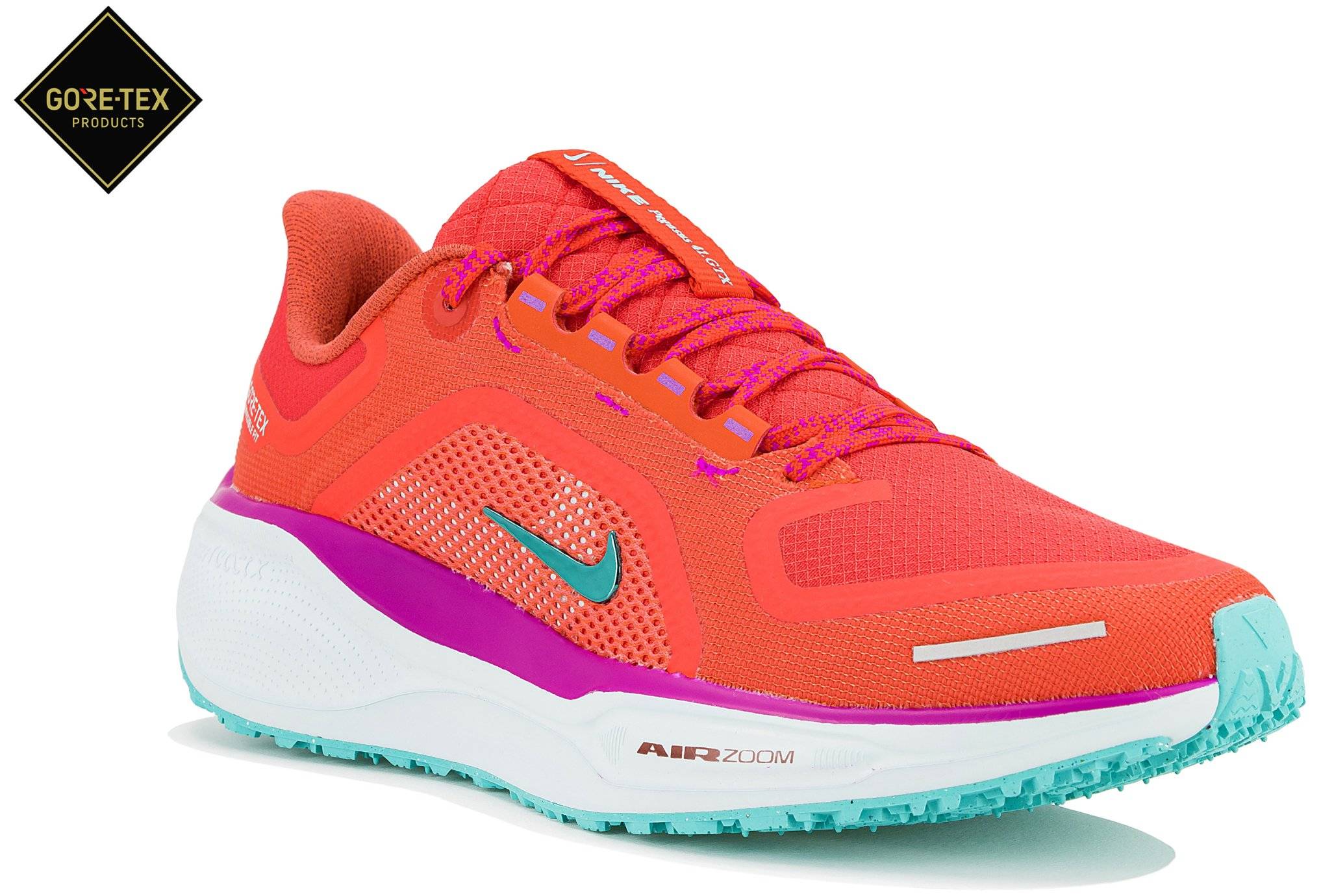 Nike Pegasus 41 Gore-Tex 