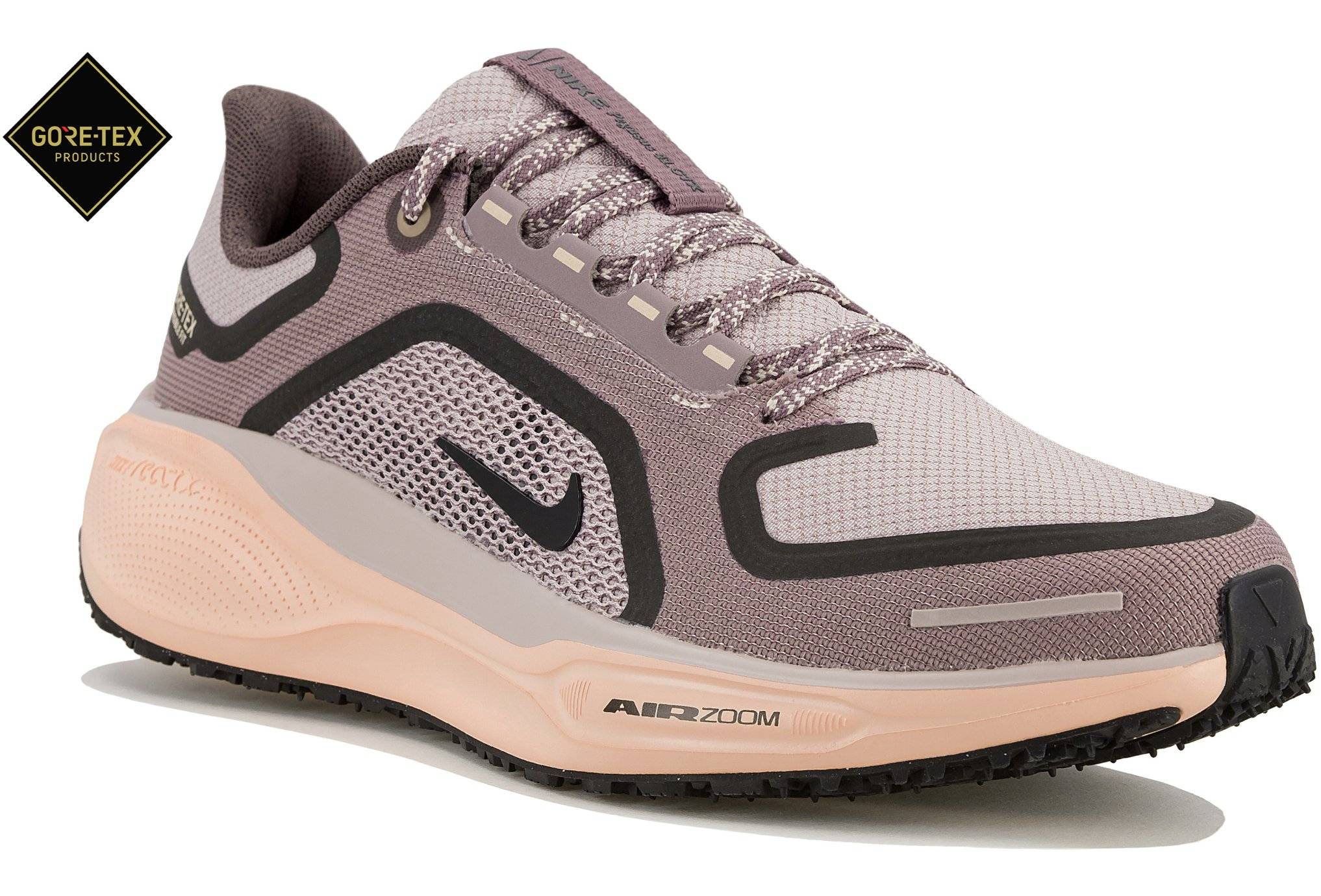 Nike Pegasus 41 Gore-Tex 