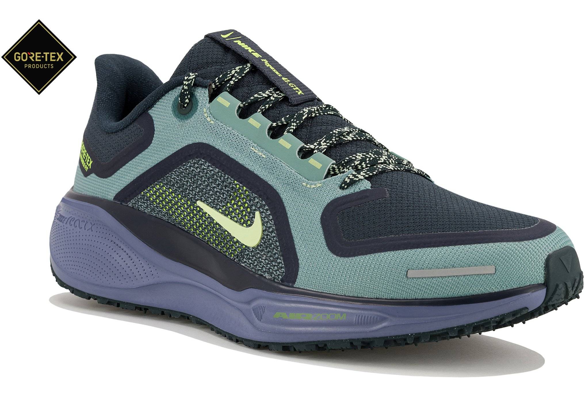 Nike Pegasus 41 Gore-Tex 
