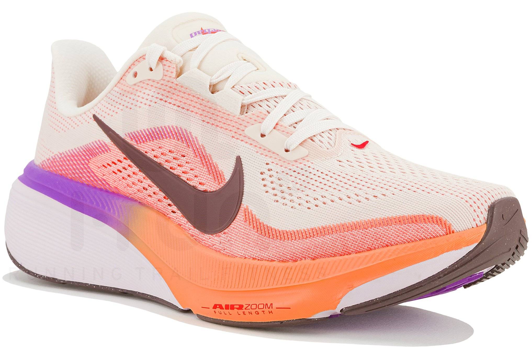 Nike Pegasus 42 