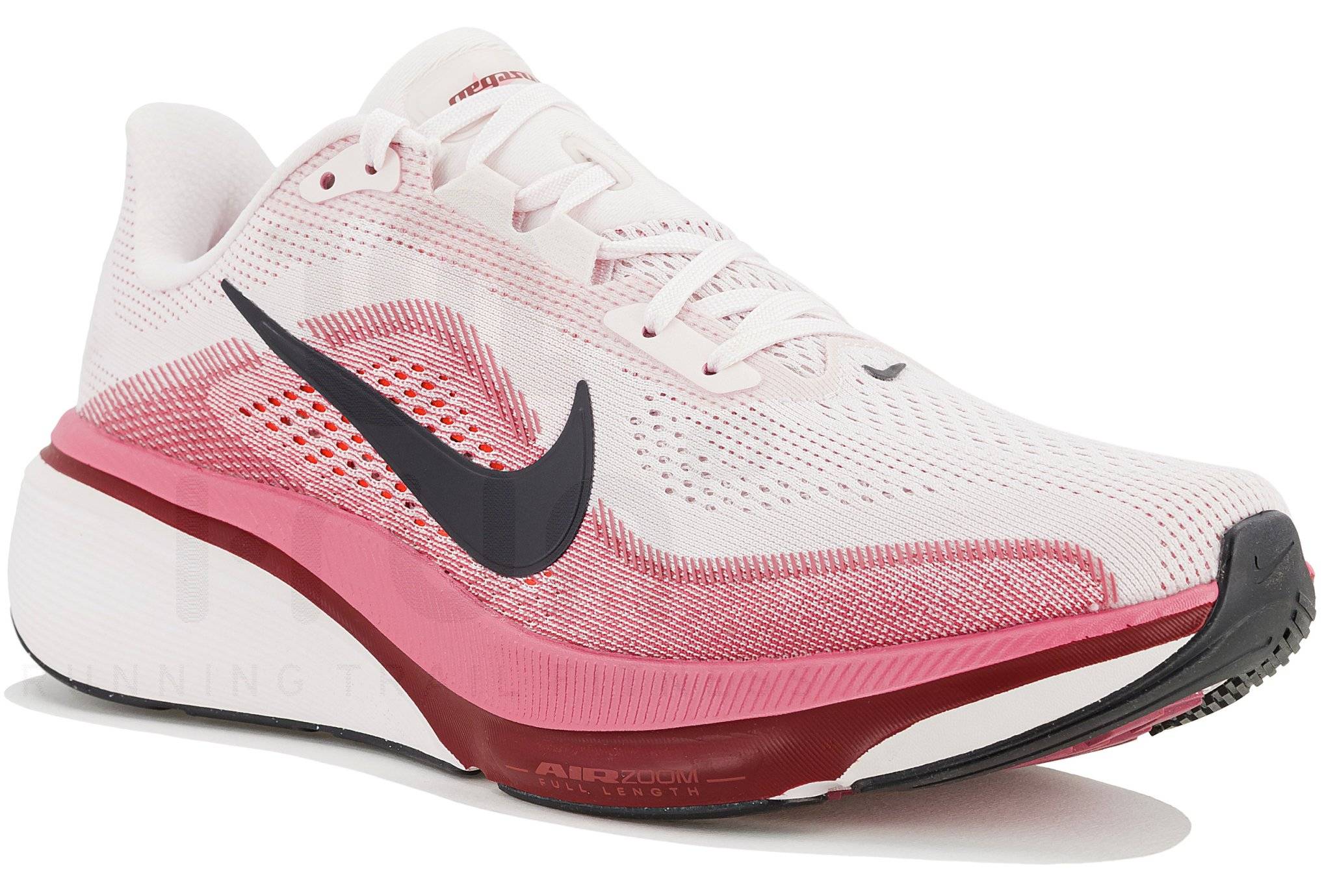 Nike Pegasus 42 