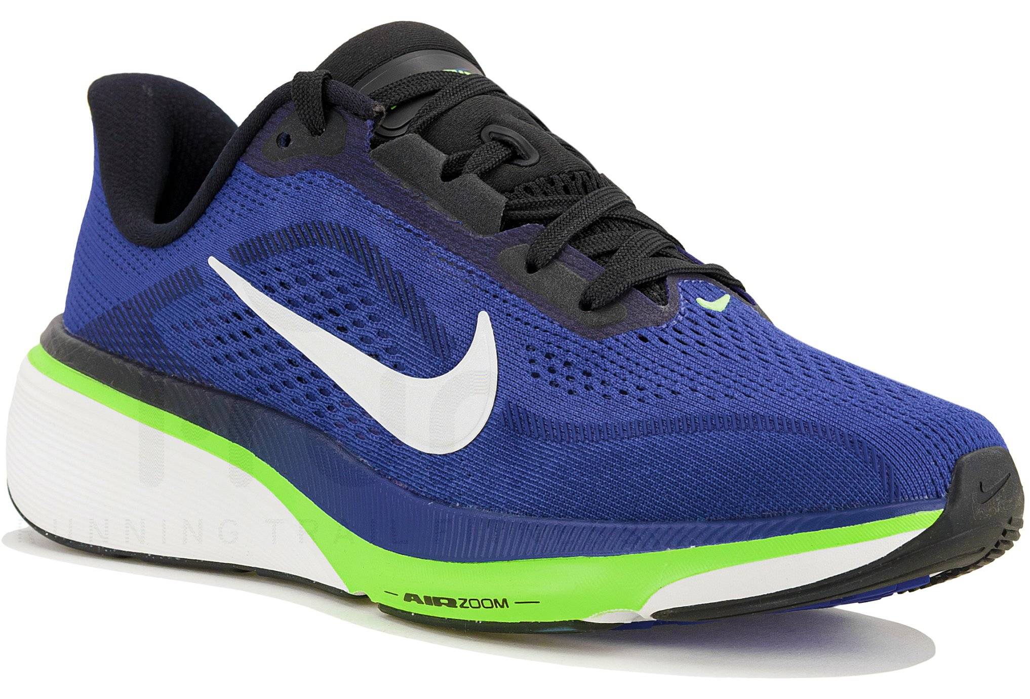 Nike Pegasus 42 