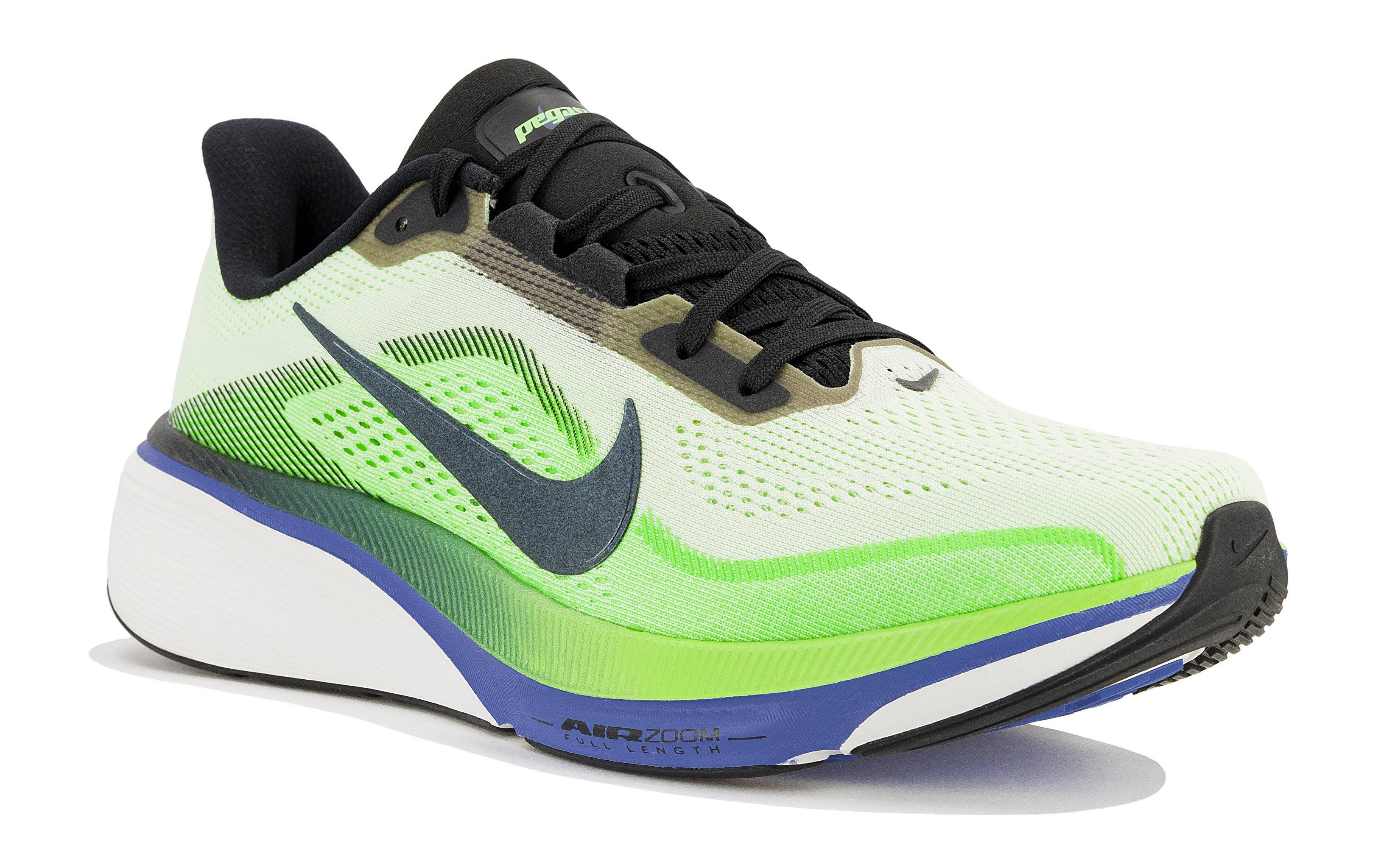 Nike pegasus
