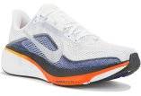 Nike Pegasus 42