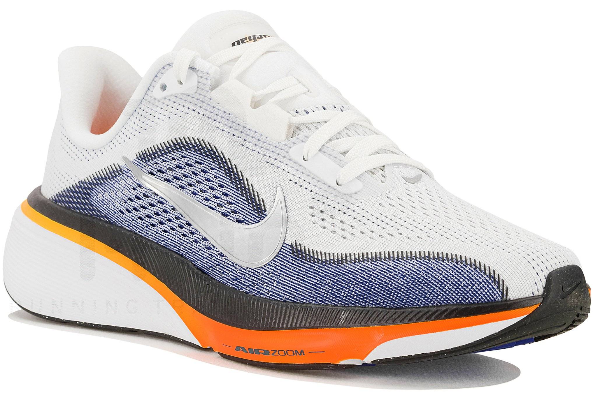 Nike Pegasus 42 