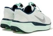 Nike Pegasus EasyOn