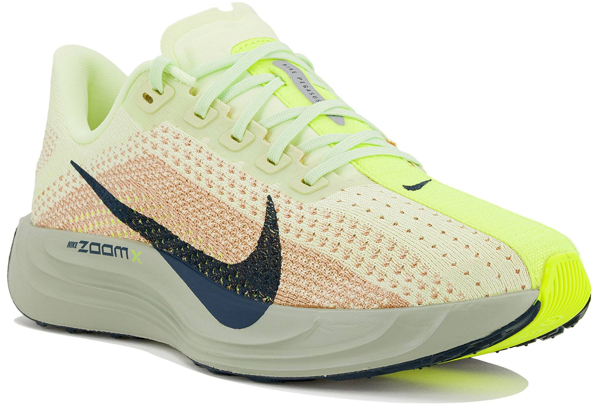Nike Pegasus Plus 
