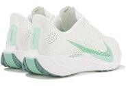 Nike Pegasus Plus