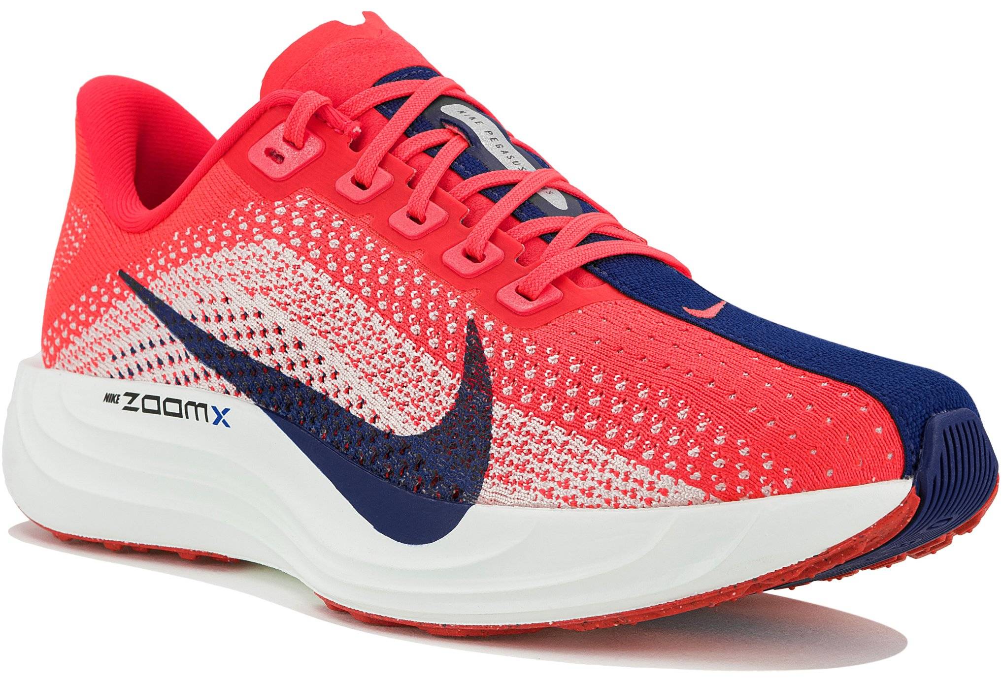 Nike Pegasus Plus 